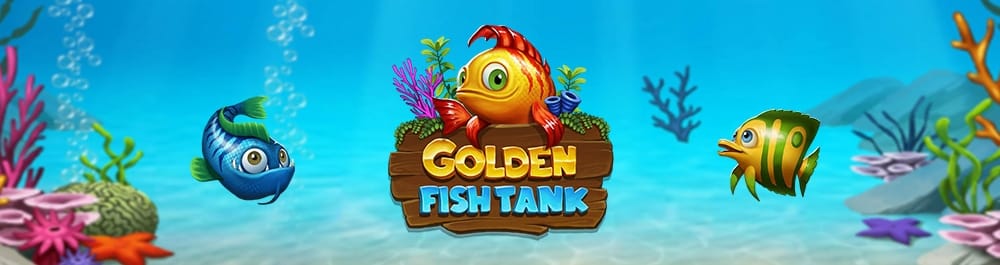 golden-fish-tank golden fish tank